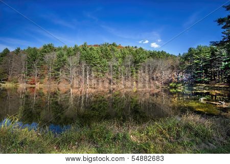 Fall Reflections