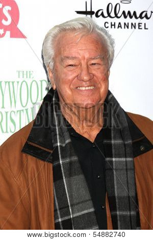 LOS ANGELES - DEC 1:  Ron Masak at the 2013 Hollywood Christmas Parade at Hollywood & Highland on December 1, 2013 in Los Angeles, CA