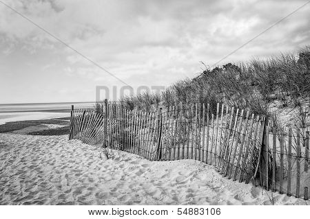 Beach Fence