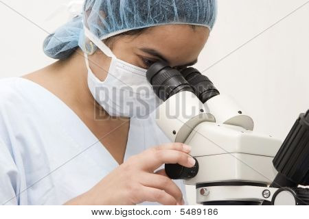 No microscópio
