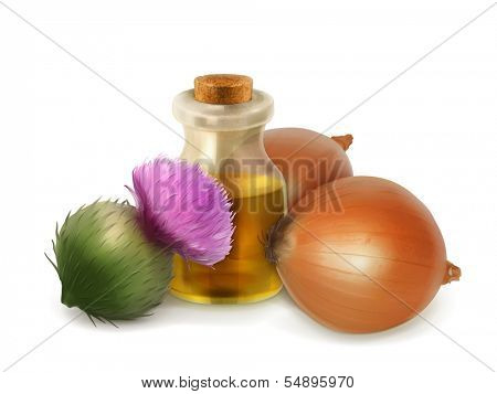 Onion and burdock, folk medicine vector illustration