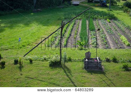 Garden Vegetables And Stylized Handmade Well Pole