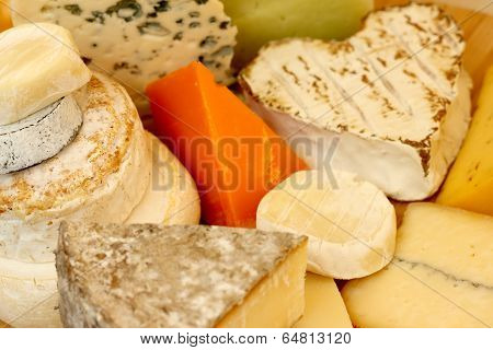 Various Types Of Cheese