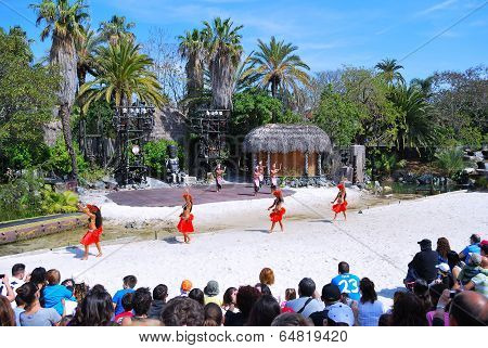 Polynesian Show.
