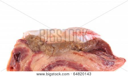 Close up of inside fish bowels.