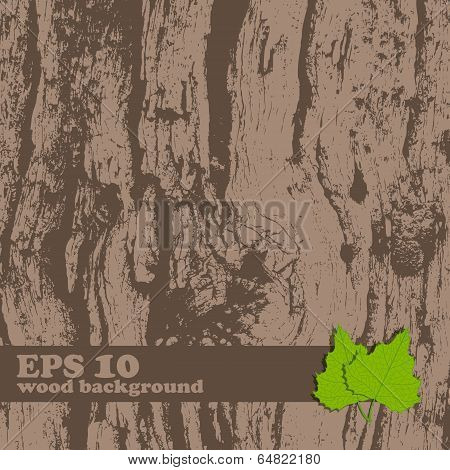 Vector Grunge Wooden Texture.