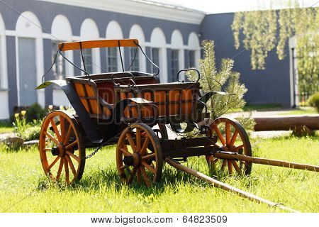 old oxen