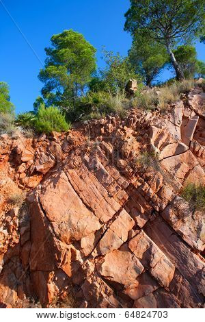 Castellon Desierto de las Palmas desert red mountains with pines at Spain