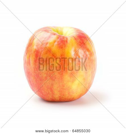 Cripps Apple 5D3Au_2022