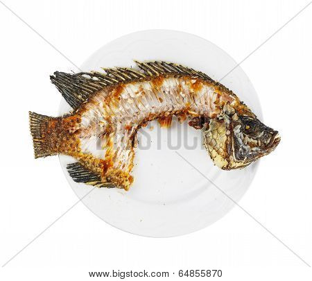 Nile Tilapia Fishbone