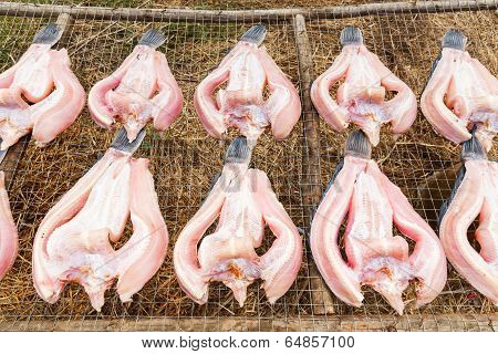 Dried Striped Snakehead Fish
