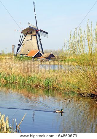 Windmills At Kinderdijk, Netherlands