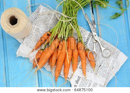 Fresh  Carrots