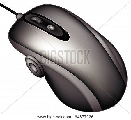 computer mouse