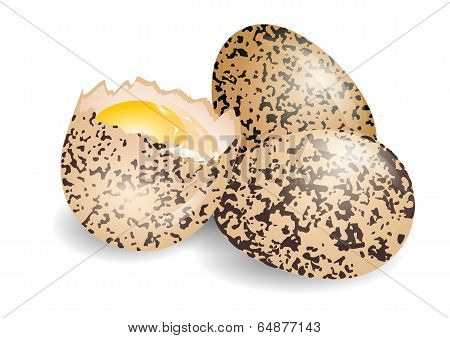 Quail Egg