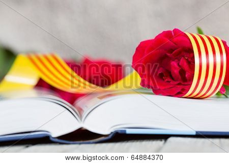 Book Day