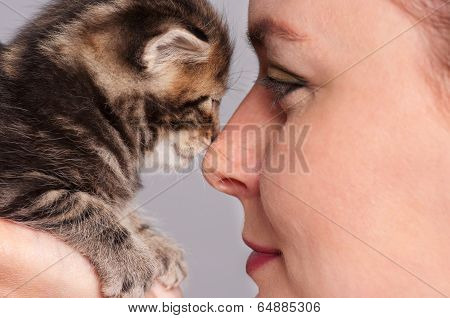 Little Kitten