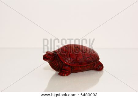 Tartaruga de madeira