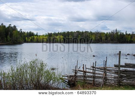 By The Lake At Springtime