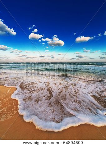 ocean and sky on the sandy beach