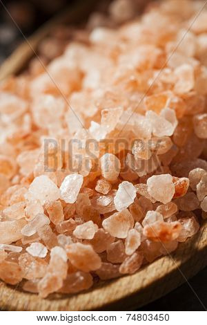 Raw Pink Himalayan Sea Salt
