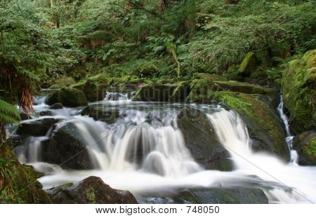 Golitha_Falls 1