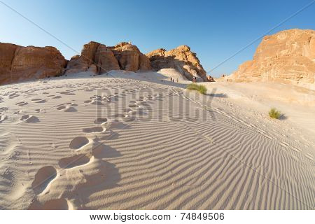 Desert with mountains. Sinai, Egypt