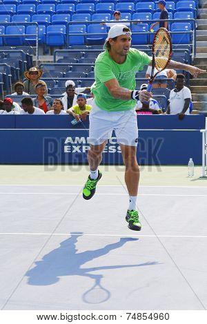 Professional tennis player David Ferrer practices for US Open 2014