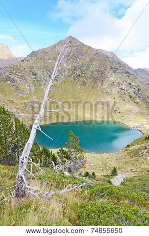 Estany De Mes Amunt - One Of The Three Lakes Of Tristaina