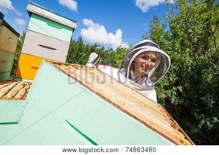 Portrait of female beekeeper in protective clothing working with colleague at apiary