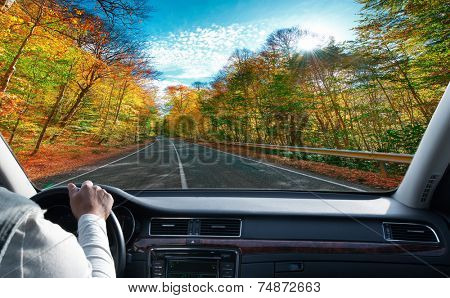 Hands on steering wheel of a car driving on an asphalt road 