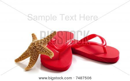 Flipflops สีบนพื้นหลังสีขาว