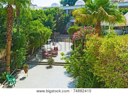The Garden