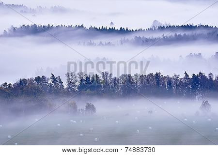 Morning Fog