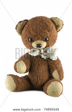 old sweet bear, white background