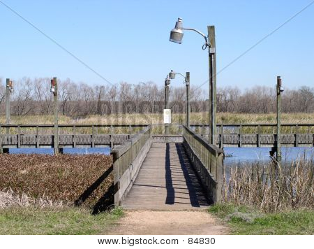 Brazos Bend Park, Texas
