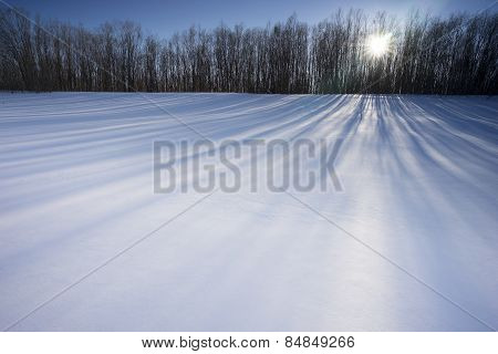 Winter Landscape.