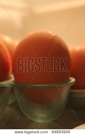 Fresh chicken egg ready to cook.