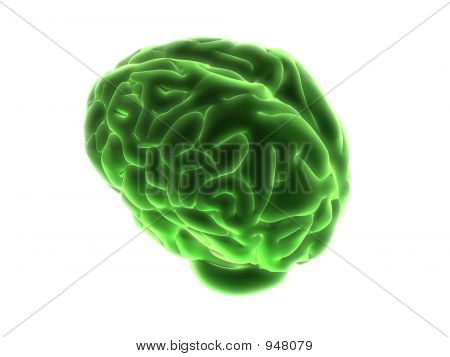 Cervello umano