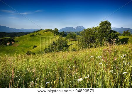 Pale of light. Morning on mountain hills. Holbav