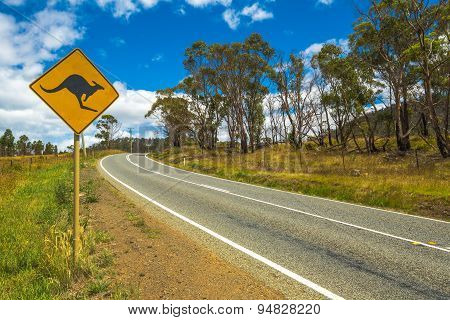 Australian Kangaroo Crossing