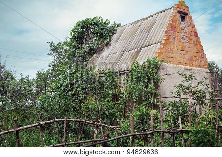 Abandoned house in neglected garden