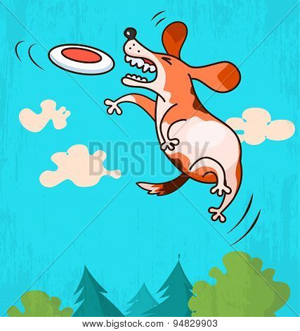 Dog with frisbee