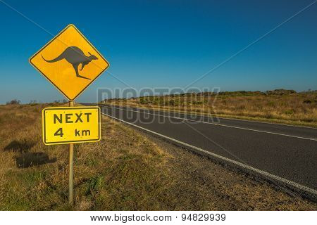 Warning Kangaroo