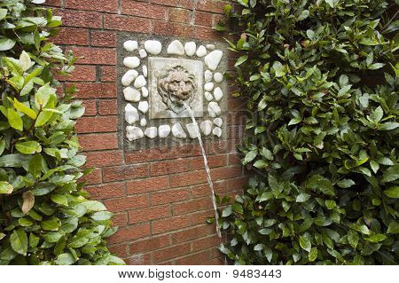 Ornamento de água do jardim