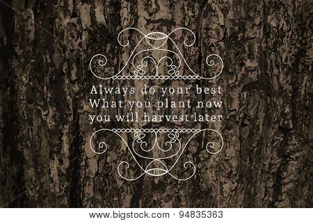 Vector headline calligraphic decoration