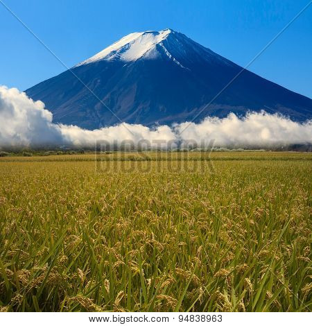 Image Of Sacred Mountain Of Fuji In The Background At Japan