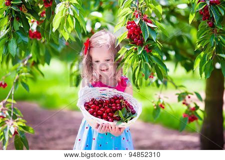 Little Girl Picking Fresh Cherry Berry In The Garden
