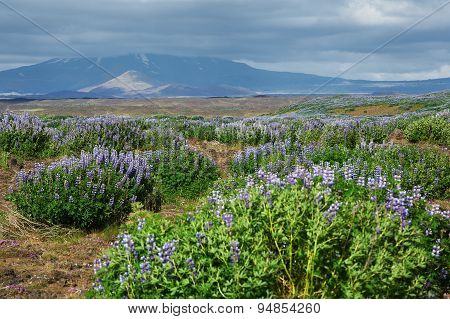 Volcano in Iceland