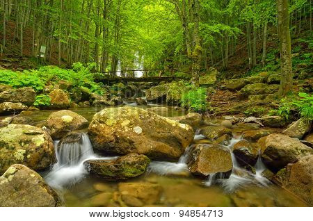 Rocks In The Stream
